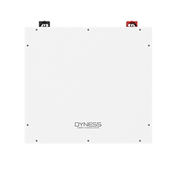 Акумуляторна батарея Dyness DL5.0C Heating (5,12 кВт*год/ 51,2 В)