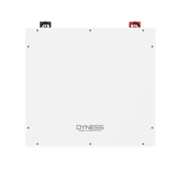 Акумуляторна батарея Dyness DL5.0C Heating (5,12 кВт*год/ 51,2 В)