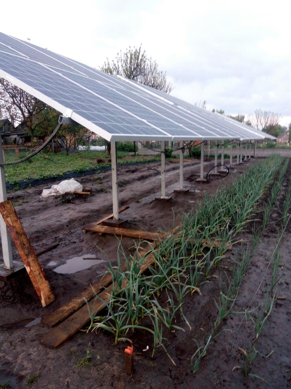 Сумська обл, с. Нижня Сироватка. 30 квтгод. Інвертор - Zeversolar Zeverlution Pro 30, панелі JinkoSolar 275 poly
